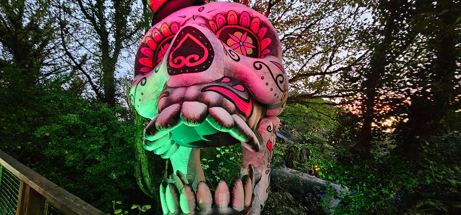 Fiesta of the Dead 2024