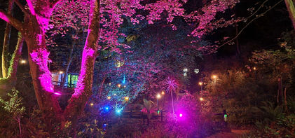 Shanklin Chine
