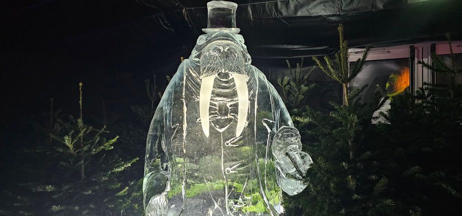 Winter Wonderland 2024