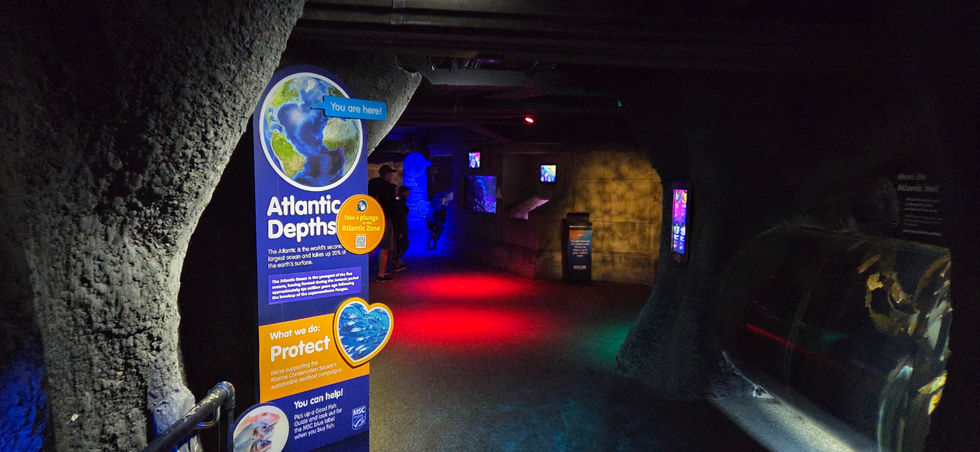 London Sealife Centre