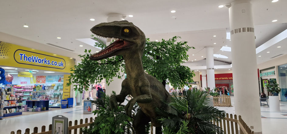 Weston Favell Dinosaurs