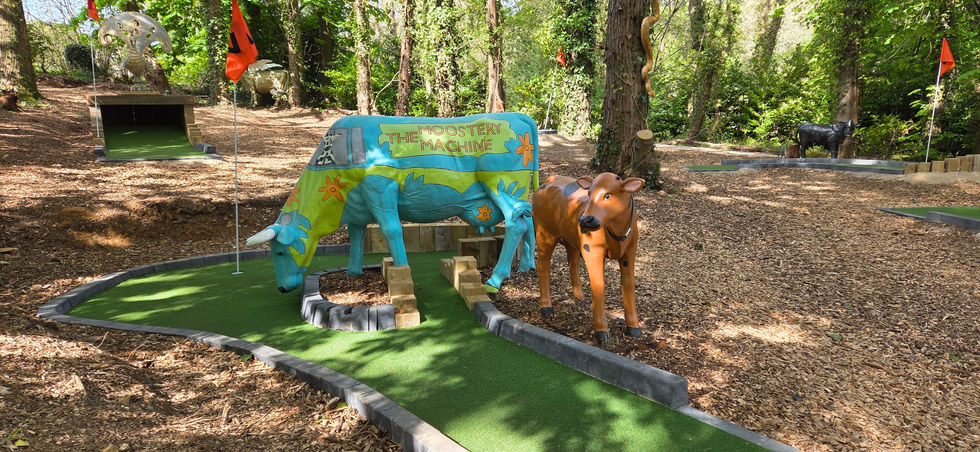 Robin Hill Adventure Park