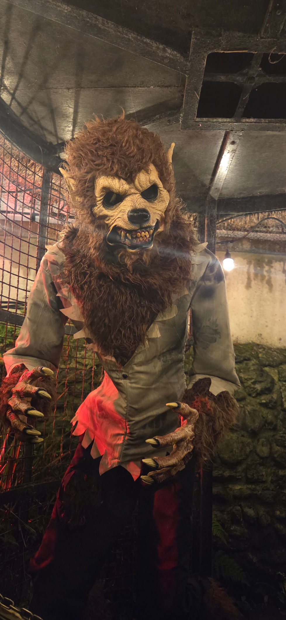 Shanklin Chine Halloween