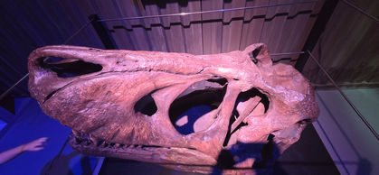 Jurassic world the exhibition