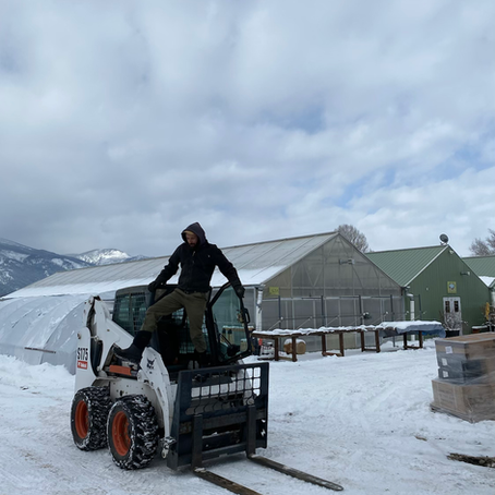 2021: A year in photos