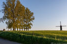 Lien Vanden Driessche