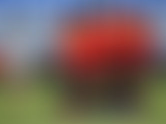 La lucha contra la invisibilidad del fútbol femenino español