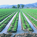 flood irrigation icon.png
