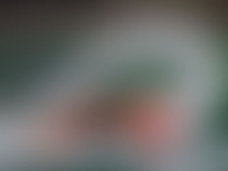 Mastering Autofocus in Wildlife Photography: Tips and Techniques