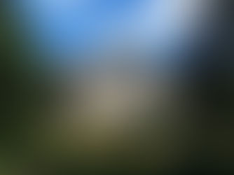 Cragside House, Gardens and Woodland