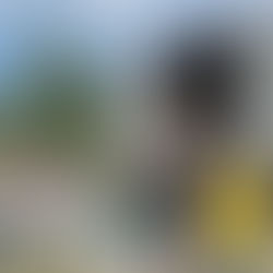 Haiti’s Deepening Crisis: UN Official Warns of Escalating Violence and Despair