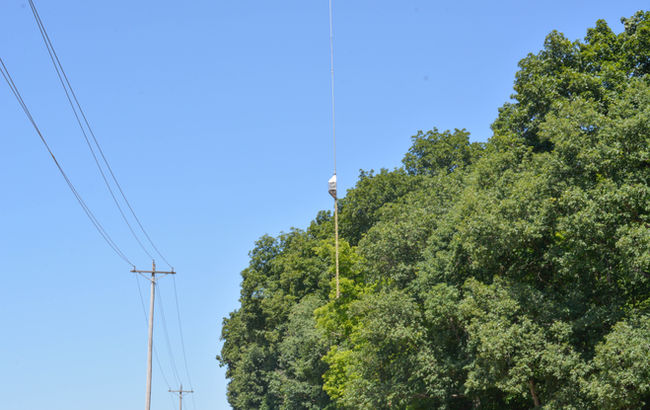 blades trimming trees