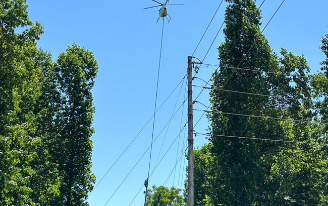 helicopter trimming trees