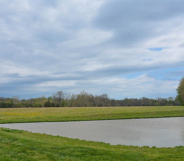 Jeff Iceberg's pond