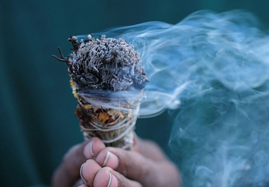 Shamanic Plant Medicine Curch in Washington State