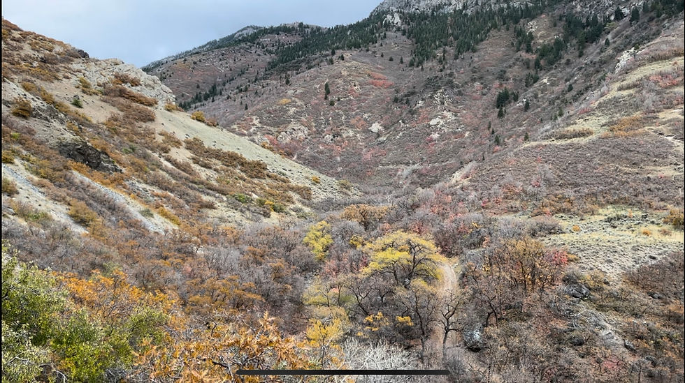 Slate Canyon November 6th