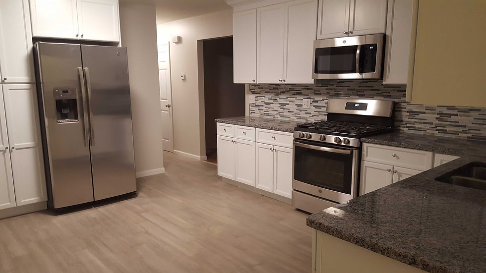 Rotterdam Remodel