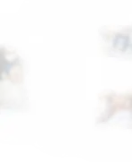 Frame 2.webp