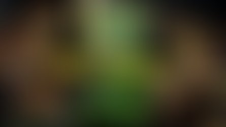 Wild Vivariums Season 3 Nov 18, 2022