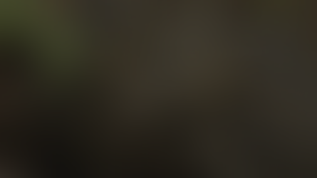The Woods: The One Before The Show Nov 12, 2023
