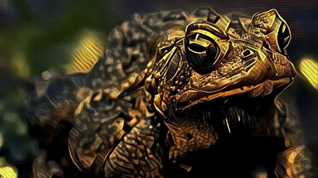 Wild Vivariums Season 3: 3 Month Update Feb 13, 2023