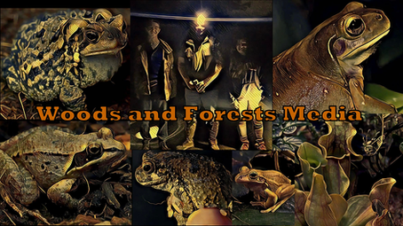 Introducing Woods and Forests Media! Oct 26, 2022