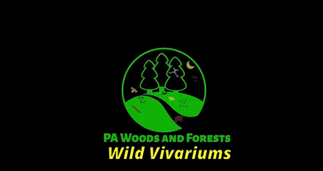 A Wild Vivariums Update: Season 2 Mar 10, 2022
