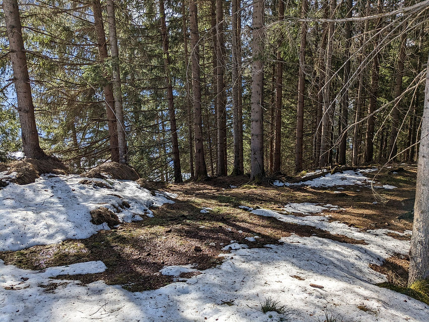 PXL_20230221_122944826.jpg