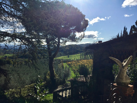 Agriturismo Fattoria Celle - tuscan countryside