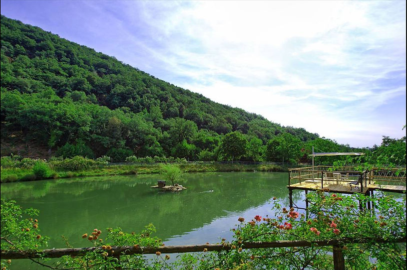 Agriturismo Fattoria Celle