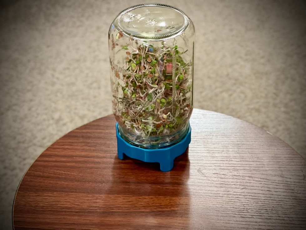 Thumbnail: Sprouting Jar Kit