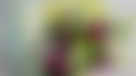 Same-Day Flower Delivery in Downtown Toronto & the GTA: When Every Moment Matters