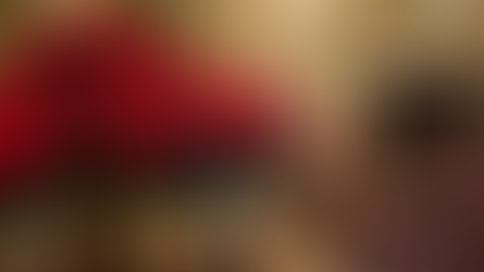 Corporate Holiday Floral Delivery in Downtown Toronto: Poinsettias for RIU Hotel