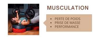Renforcement postural Equilibre