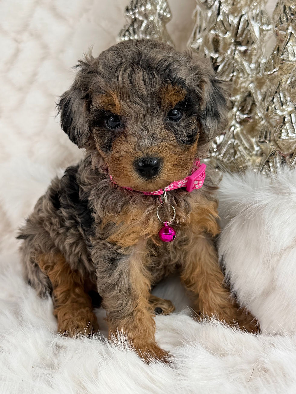 F6A45757-45BE-47A7-A3BF-9DDE203593F3