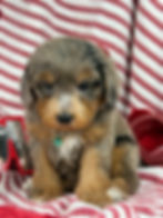 C862C6DA-4484-45F4-928D-96545ACA2126