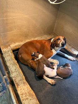 A very good mom