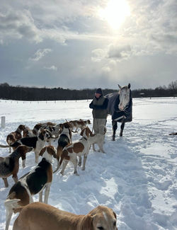 Winter walks