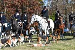 Opening meet