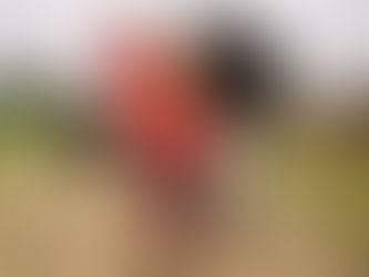 9 fun days out in Rotherham for your family