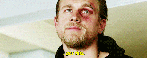 AcademicScentedAustraliancattledog-max-1