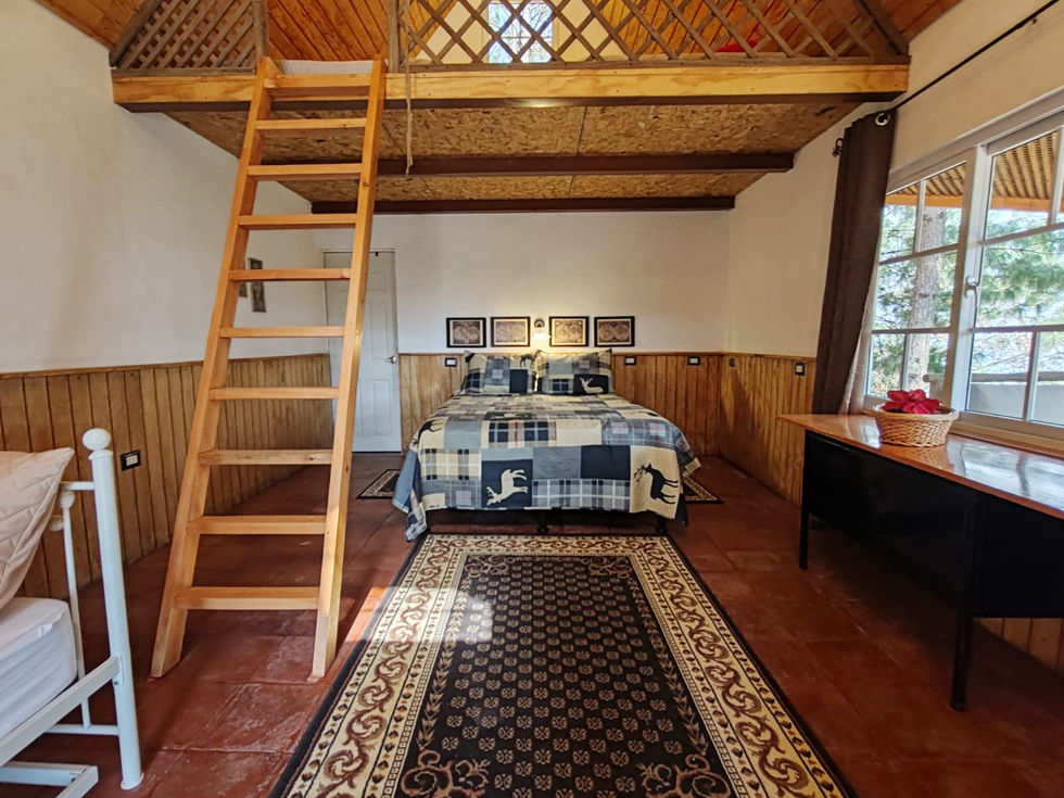 WhatsApp Image 2024-03-27 at 11.11.53 PM