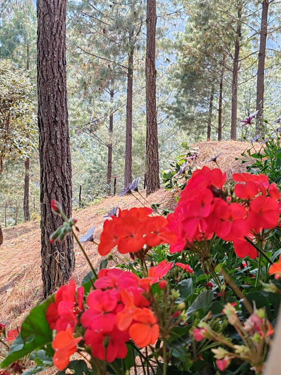 WhatsApp Image 2024-03-27 at 11.11.49 PM