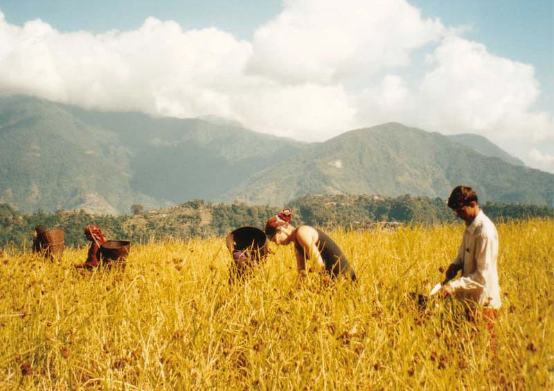 volunteer abroad in Nepal, sustainable agriculture projects in Nepal, do something different in nepal