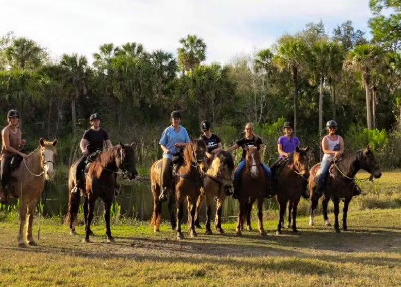 Volunteer abroad North America, horse volunteer projects, overseas horse volunteering, rehabilitation programs North America,