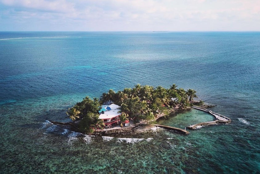 volunteer with whale sharks overseas, volunteer overseas, marine conservation projects in Belize, South America shark projects, do something different south america