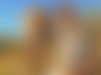 Volunteering Abroad with Travel Roots: Your Path to Impact and Adventure