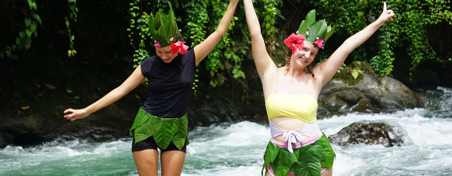 volunteer overseas with orangutan. Orangutan programs Sumatra, Discover Indonesia, Orangutan trekking tours