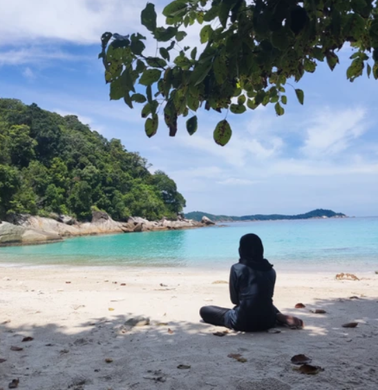 Volunteer abroad, Volunteer with turtles, Turtle projects overseas, Malaysia turtle volunteer programs 