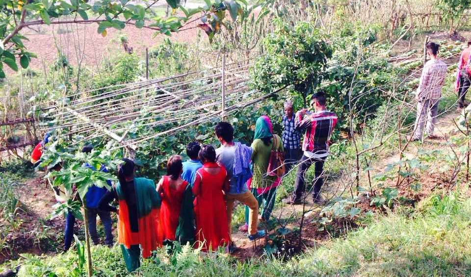 volunteer overseas in Nepal, Nepal volunteer projects, community development programs, Discover Nepal, Help in Nepal,